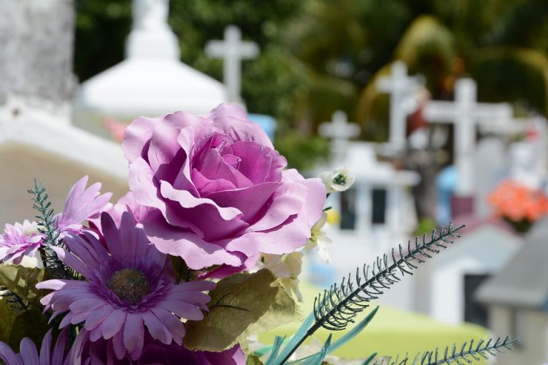 free funeral plants