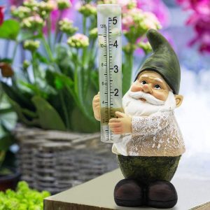 rain gauge gnome