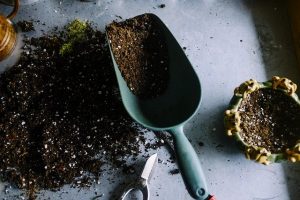 garden trowel filled and surrounded by dirt