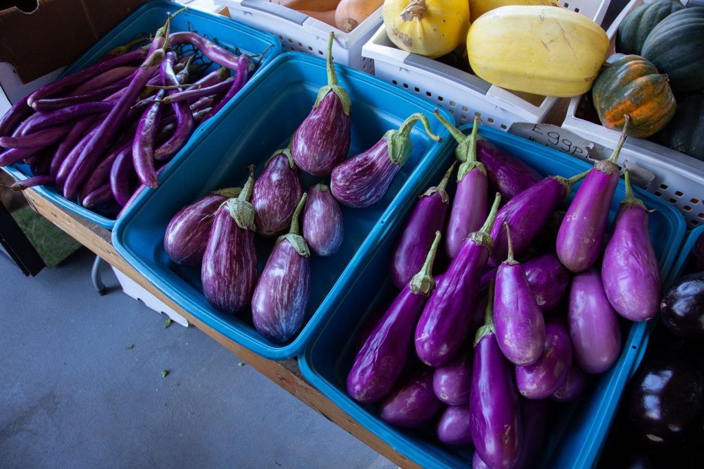 victory garden with eggplants