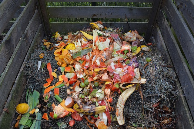 is a compost bin worth the money