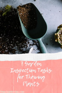 7 Garden Inspection Tasks for Thriving Plants