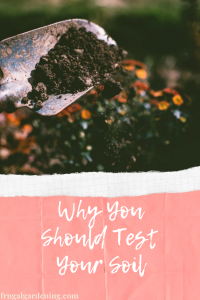 Why You Should Test Your Soil