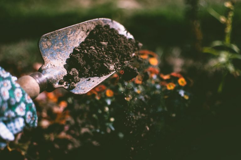 test your soil