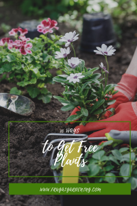 10 Ways to Get Free Plants