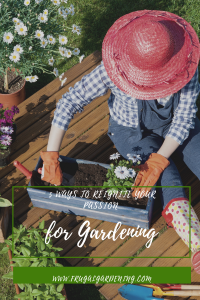 5 Ways to Reignite Your Passion for Gardening