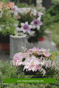 Free Funeral Home Plants
