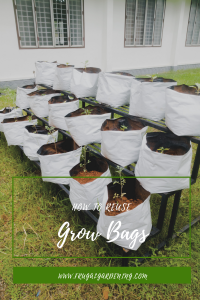 How to Reuse Grow Bags