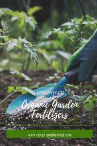 4 Cost-Effective Organic Garden Fertilizers