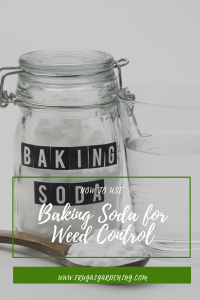 How to Use Baking Soda for Weed Control