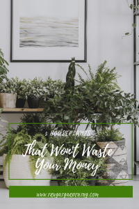 5 Houseplants That Won't Waste Your Money