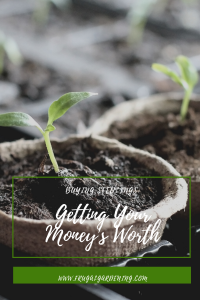 Buying Seedlings Getting Your Money's Worth