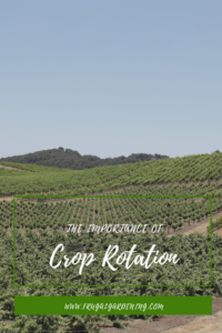 The Importance of Crop Rotation
