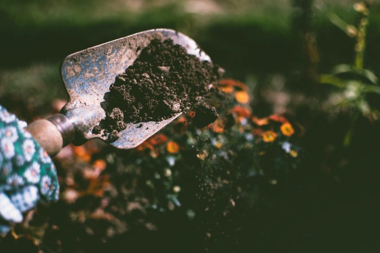 soil recycling checklist