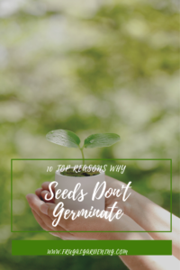 10 Top Reasons Why Seeds Don't Germinate
