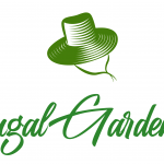 Should You Use Diesel To Kill Weeds? Frugal Gardening