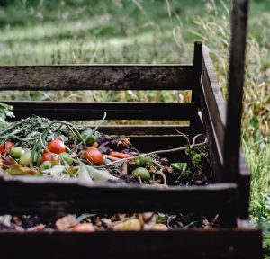 composting household items