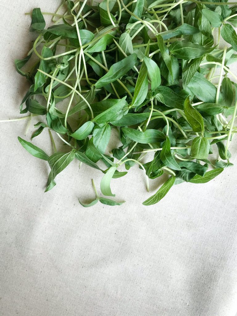 where to buy seeds for microgreens