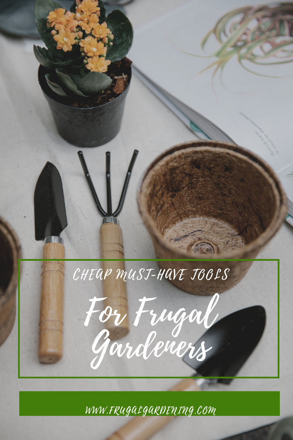 Cheap Must-Have Tools For Frugal Gardeners