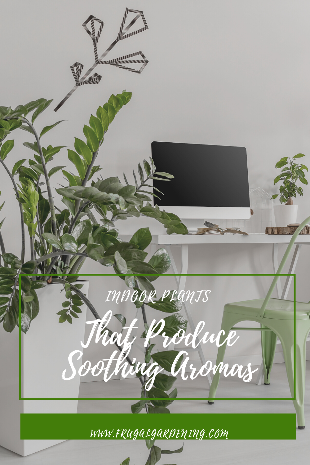 Indoor Plants That Produce Soothing Aromas