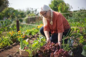 gardening in the heat