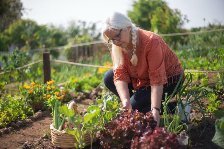 gardening in the heat