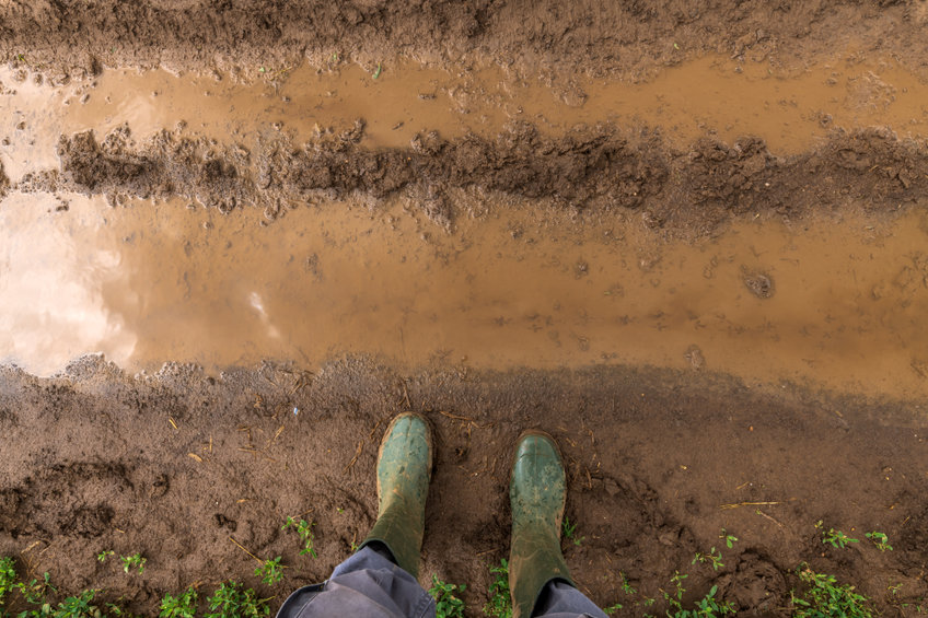 protect garden from excessive rainfall