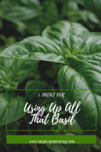 Using up all the basil in your herb garden can be challenging, especially when growth is in full swing. Here are some ideas for how to use it.