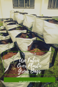 5 Reasons To Use Fabric Over Plastic Grow Bags