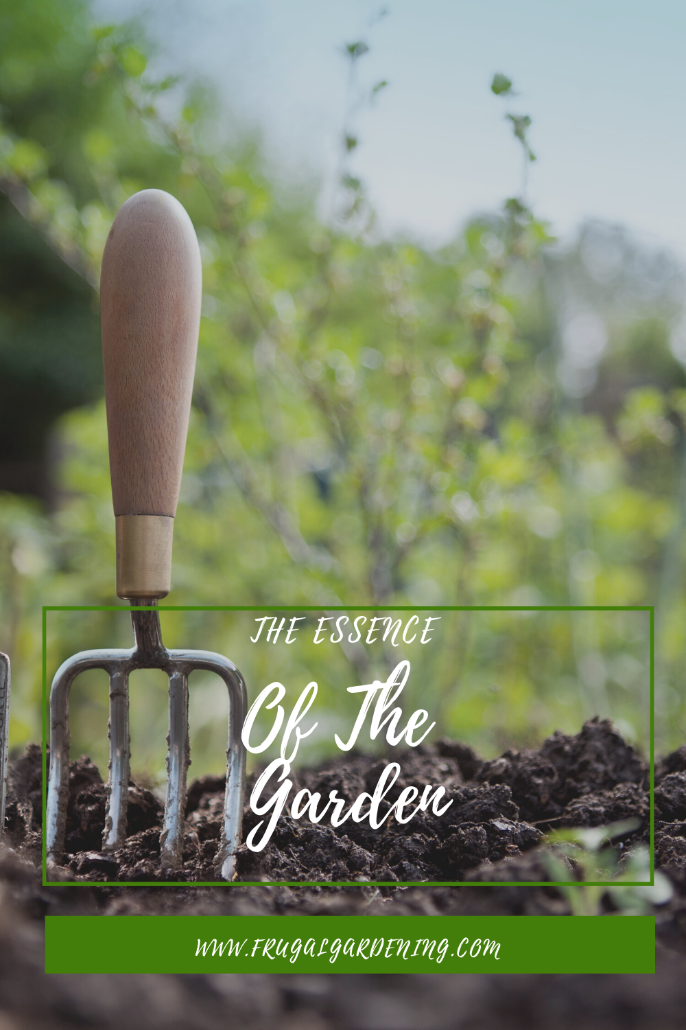 The Essence Of The Garden