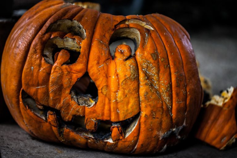 making your pumpkin last