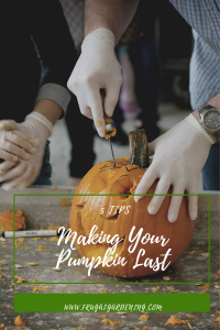 Making Your Pumpkin Last 5 Tips