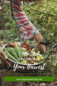 What To Do With Your Harvest