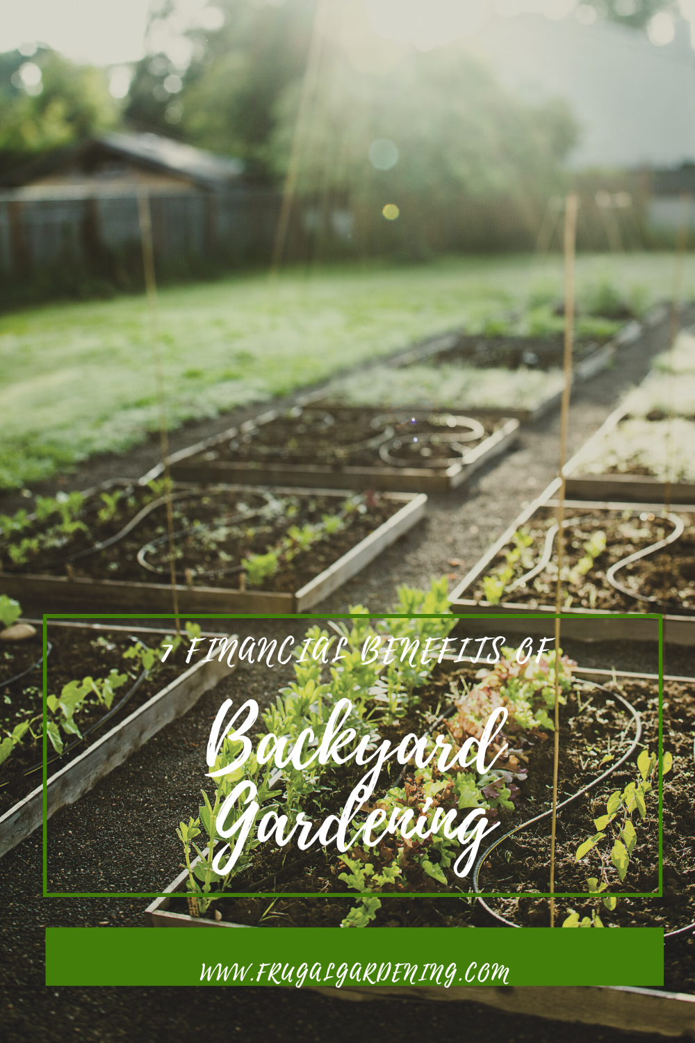 7 Financial Benefits of Backyard Gardening