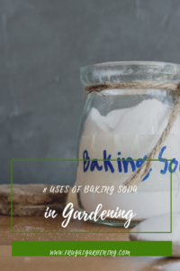 8 Uses of Baking Soda in Gardening