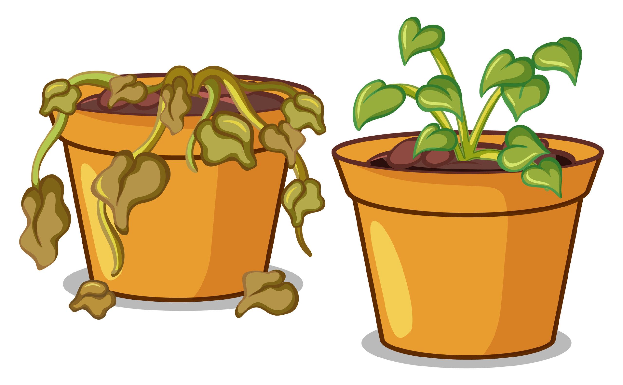 6 Tips To Revive Wilted Plants - Frugal Gardening