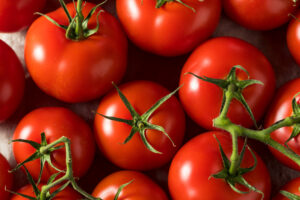 Raw Organic Vine Ripe Red Tomatoes