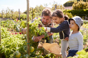 Community Gardens