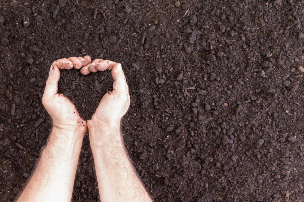 Cheap Ways To Make Soil More Acidic