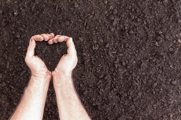 Cheap Ways To Make Soil More Acidic