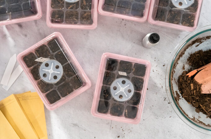 Cheap and Economical Humidity Dome Alternatives