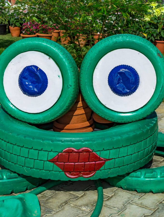 5 Best Plants for a Privacy Wall Frugal Gardening