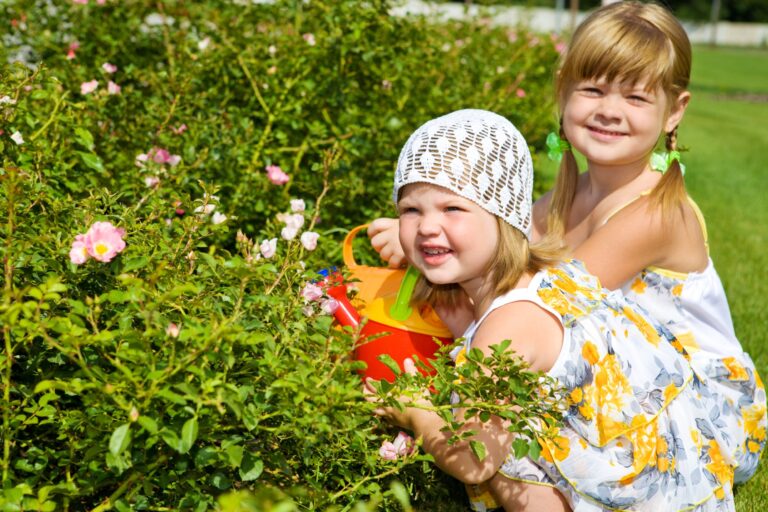 Being a Beginner in the Garden