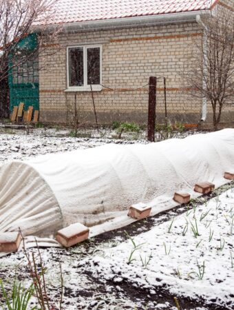 winter garden tasks: fallen snow on a covered garden