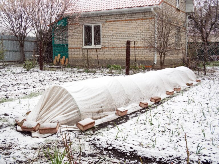 winter garden tasks: fallen snow on a covered garden