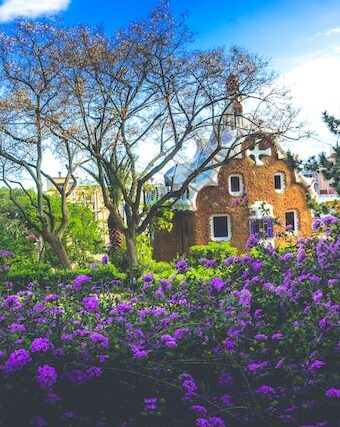 5 Things I Learned About Gardening in 2022
