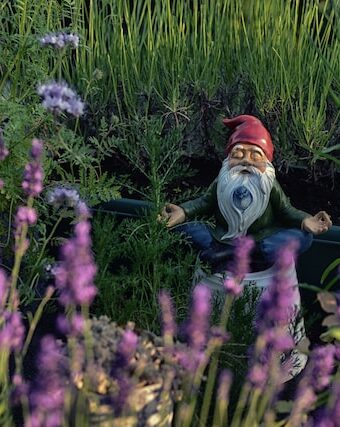 Gardening for Mental Health