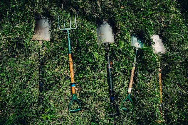 Clean and Disinfect Your Garden Tools