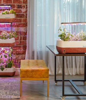 Shopping for Grow Lights? Learn the Optimal Number of Lumens Required for Your Plants.
