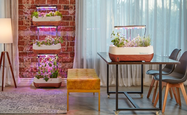 Shopping for Grow Lights? Learn the Optimal Number of Lumens Required for Your Plants.